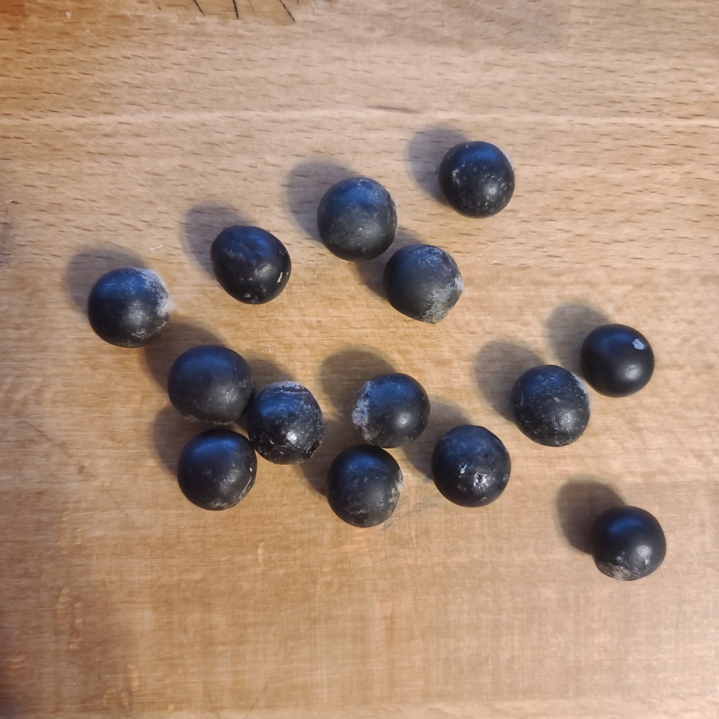 Sapindus marginatus, Florida Soapberry (Seed)